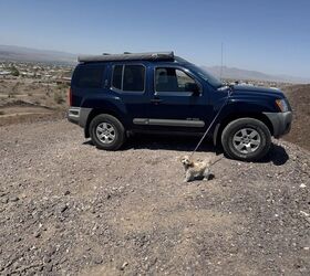 2008 nissan xterra for sale