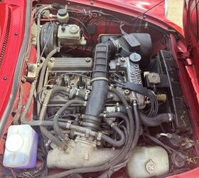 1987 alfa romeo spider graduate for sale, 1987 alfa romeo spider graduate for sale