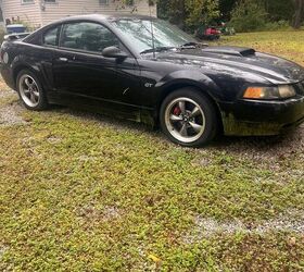 2001 Ford Mustang Bullitt For Sale