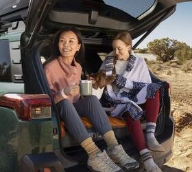 pets are prompting people to drive instead of fly this holiday season